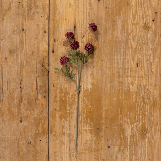 Dk Red Onion Spray